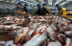 Vietnam berusaha mencapai  nilai eksport ikan Patin sebanyak 2 juta USD pada tahun 2012.